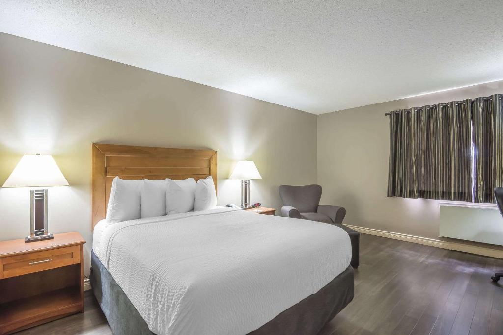 Quality Inn West Edmonton photo 1