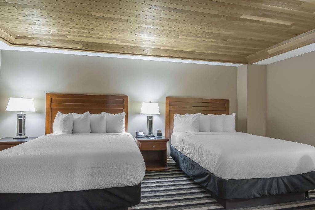 Quality Inn West Edmonton photo 2
