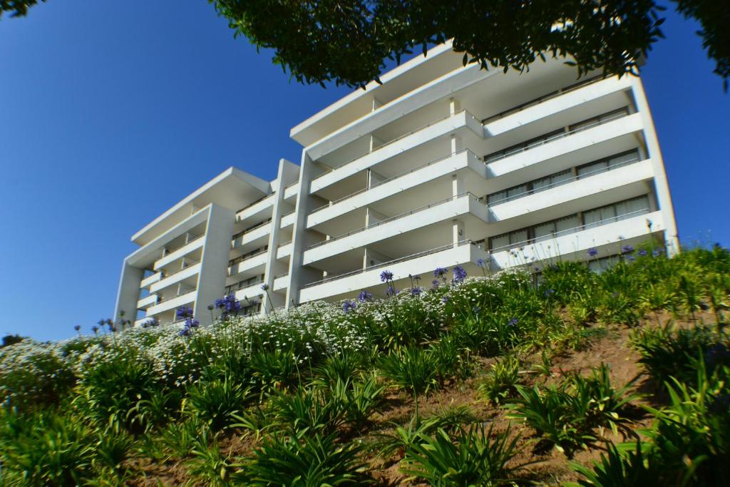 Apartamento Puerto Velero Tongoy photo 3