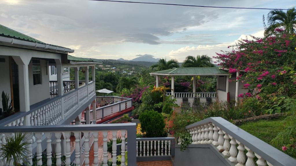 Classique International in Dominica photo 1