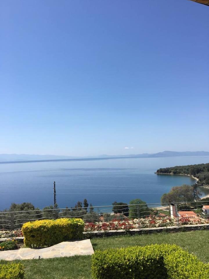 Olive Grove Villas photo 3