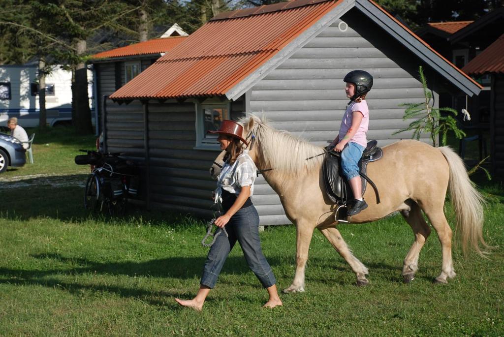 Hytteby – Hanstholm Camping – Thy Feriepark - Tap to explore photos