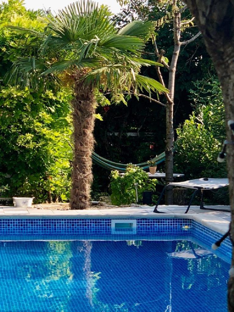 Villa Emilia photo 2