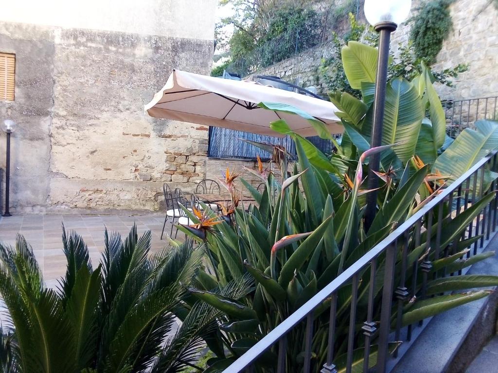 Bed & Breakfast Via Venezia photo 3