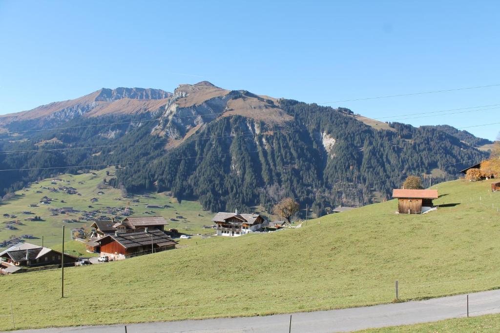 Chalet Weissenberg photo 3