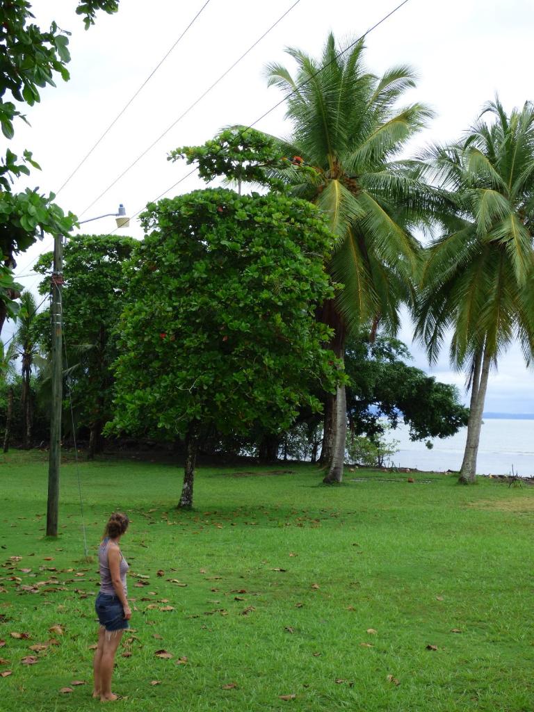 Corcovado Beach Lodge photo 2