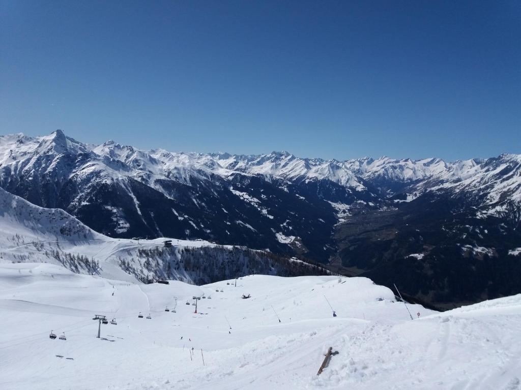 Gästeheim Pötscher photo 4