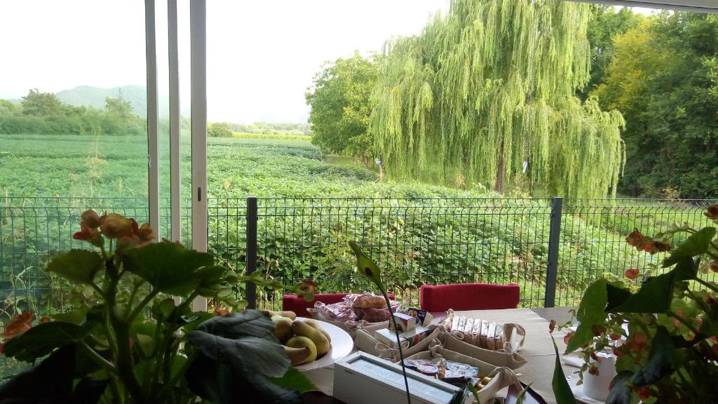 B&B La Via dell'Ambra photo 3