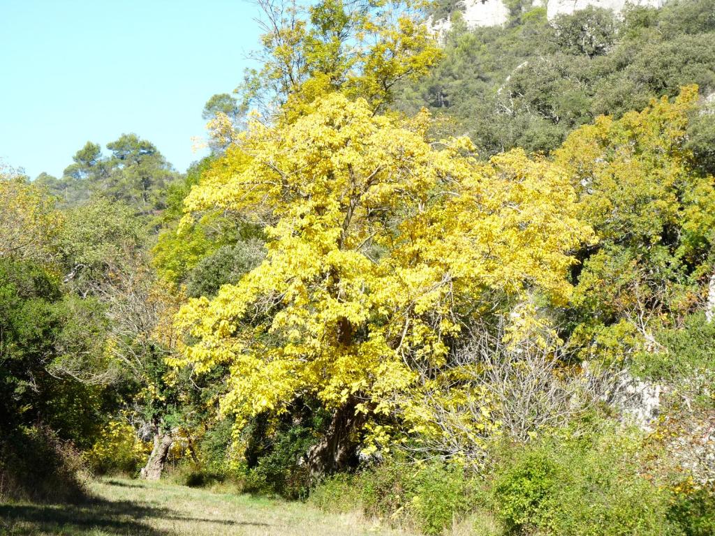 La Ressence Luberon photo 4