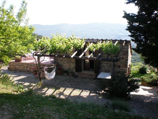 Agriturismo Podere Torre photo 4