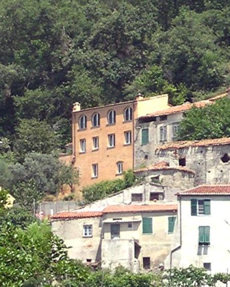 B&B Nelly G photo 4