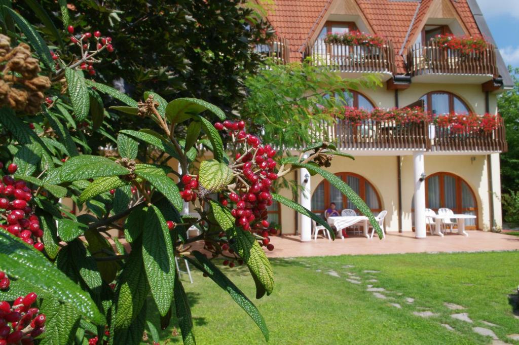 Двухместный (Двухместный номер с 2 отдельными кроватями), Ágnes Hotel