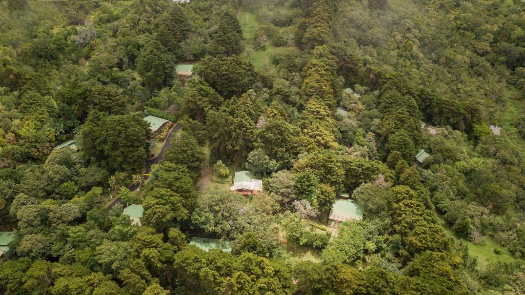 Los Pinos Cabins & Reserve photo 1