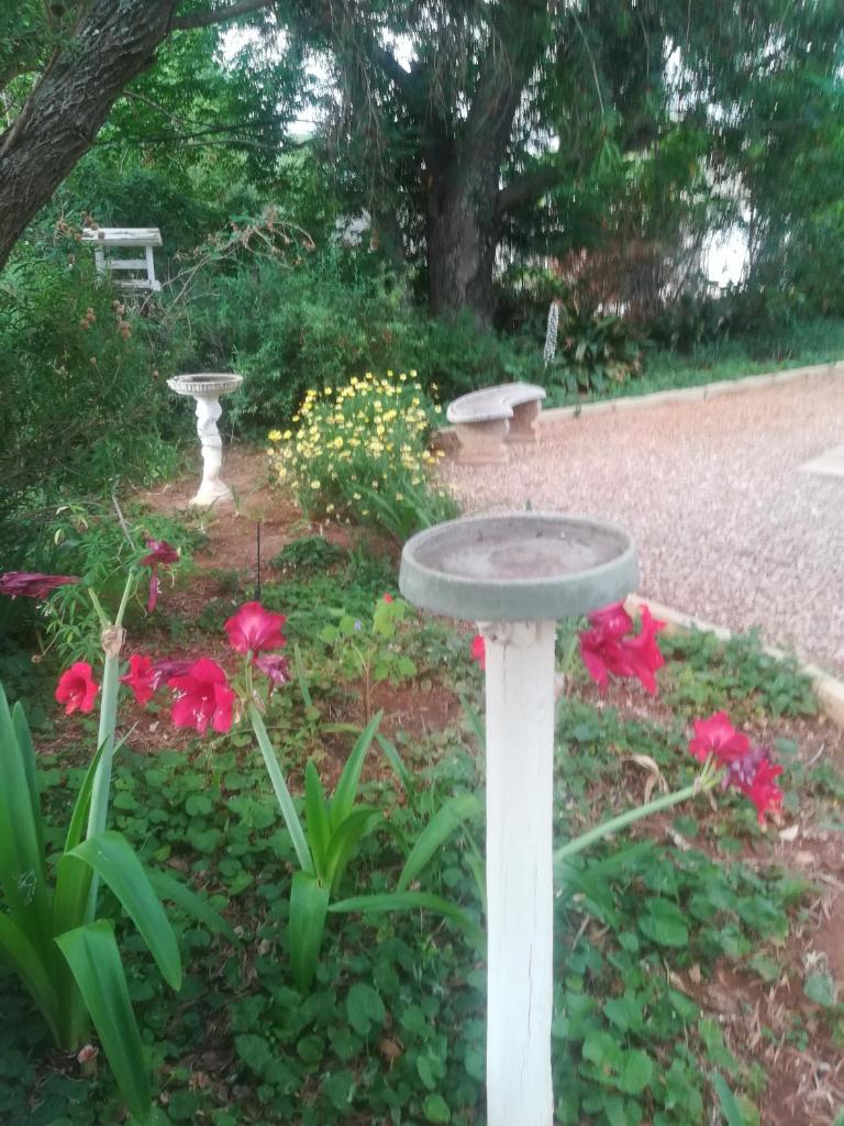 Mulberry Place photo 2