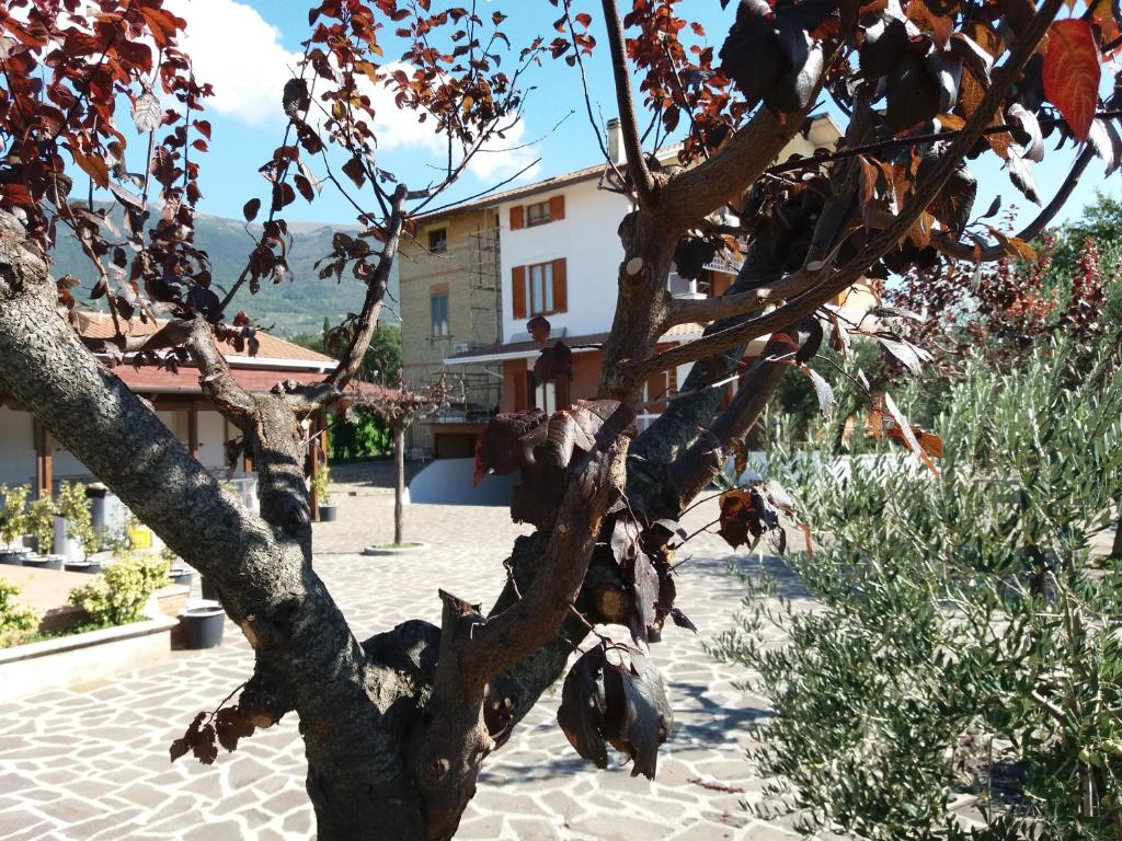 Bed & Breakfast Ciancaleoni photo 2