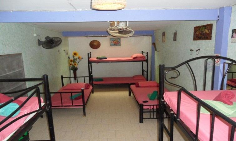 Номер (Кровать в общем 8-местном номере для мужчин и женщин), Shanti Lodge