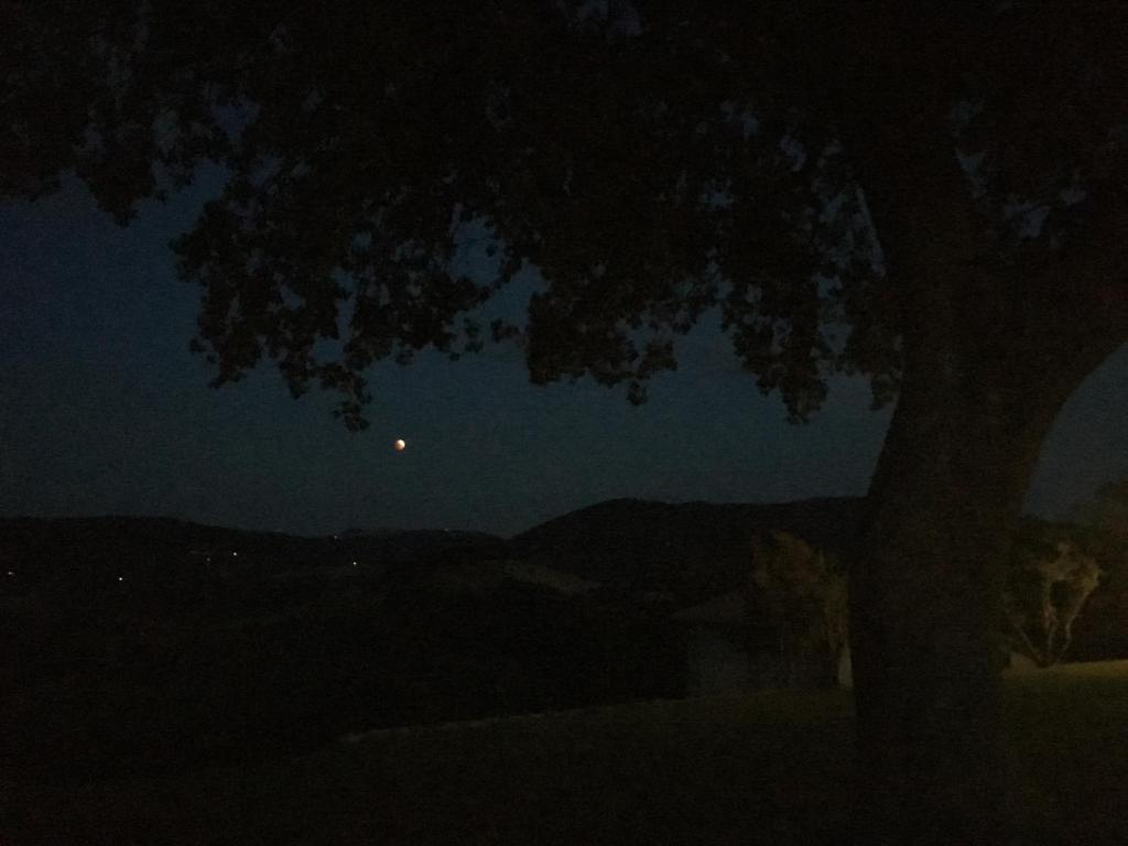 La Cerqua photo 4