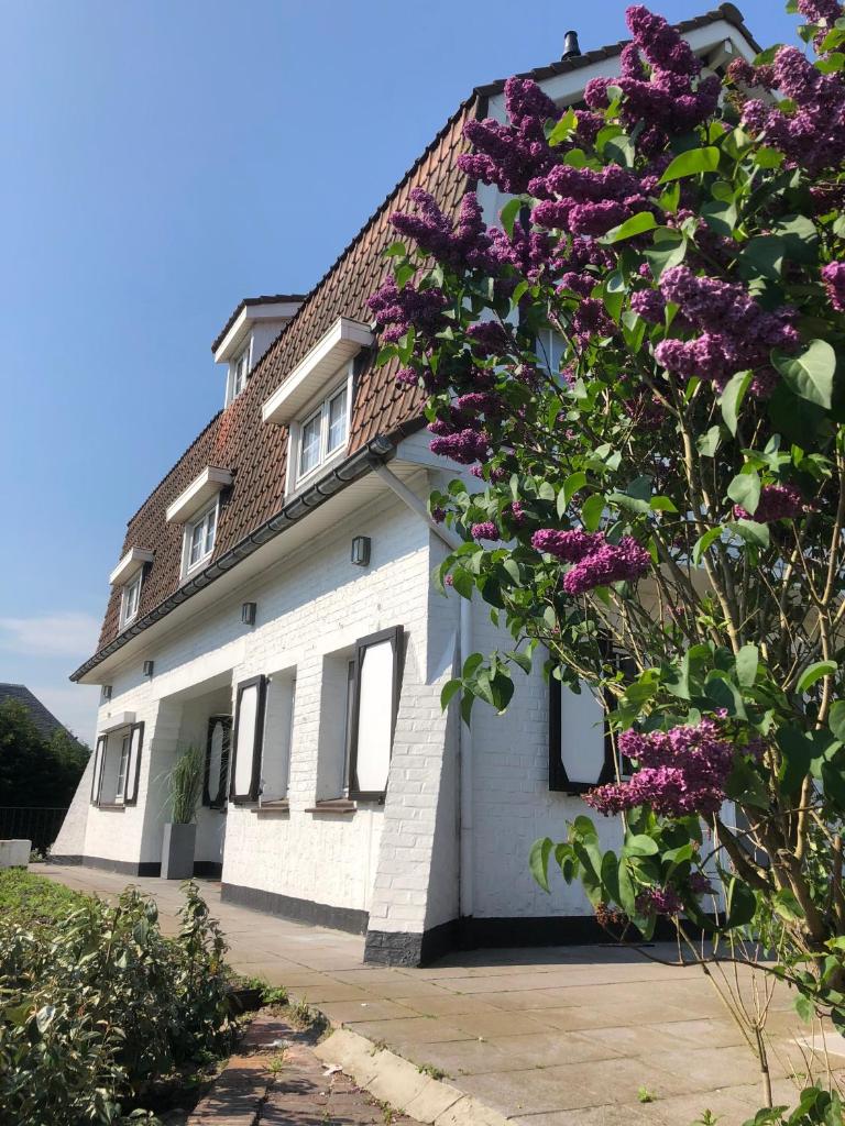 Villa Fernley photo 1