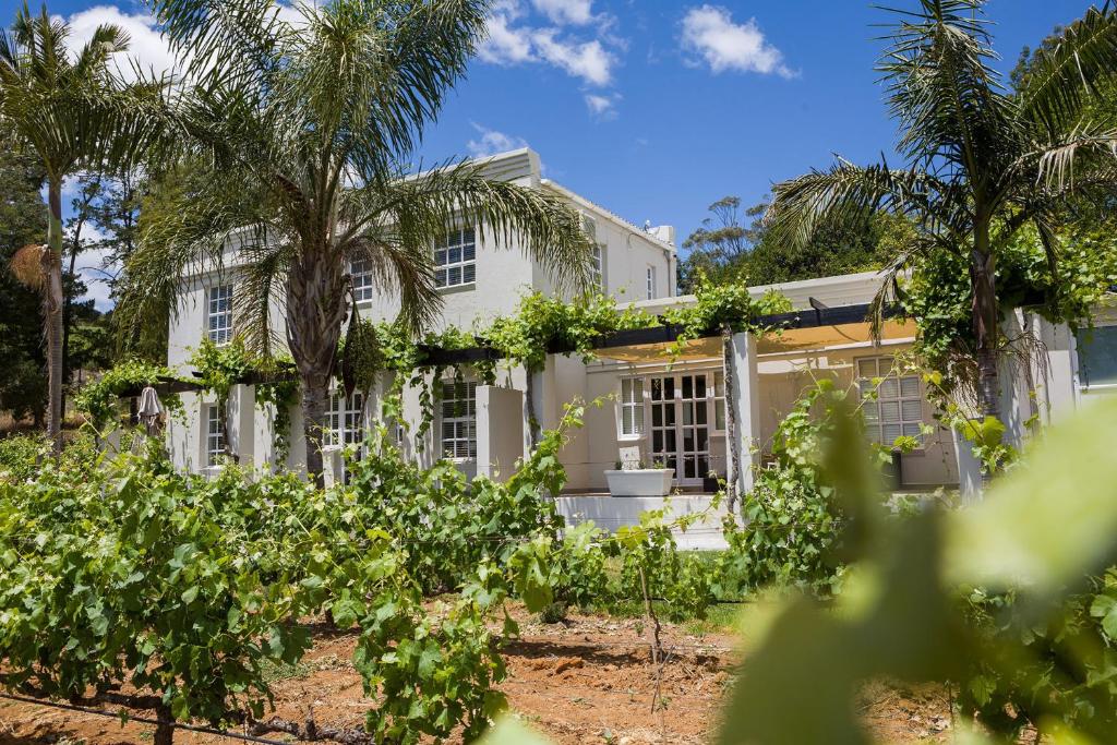 Kunjani Villas photo 1