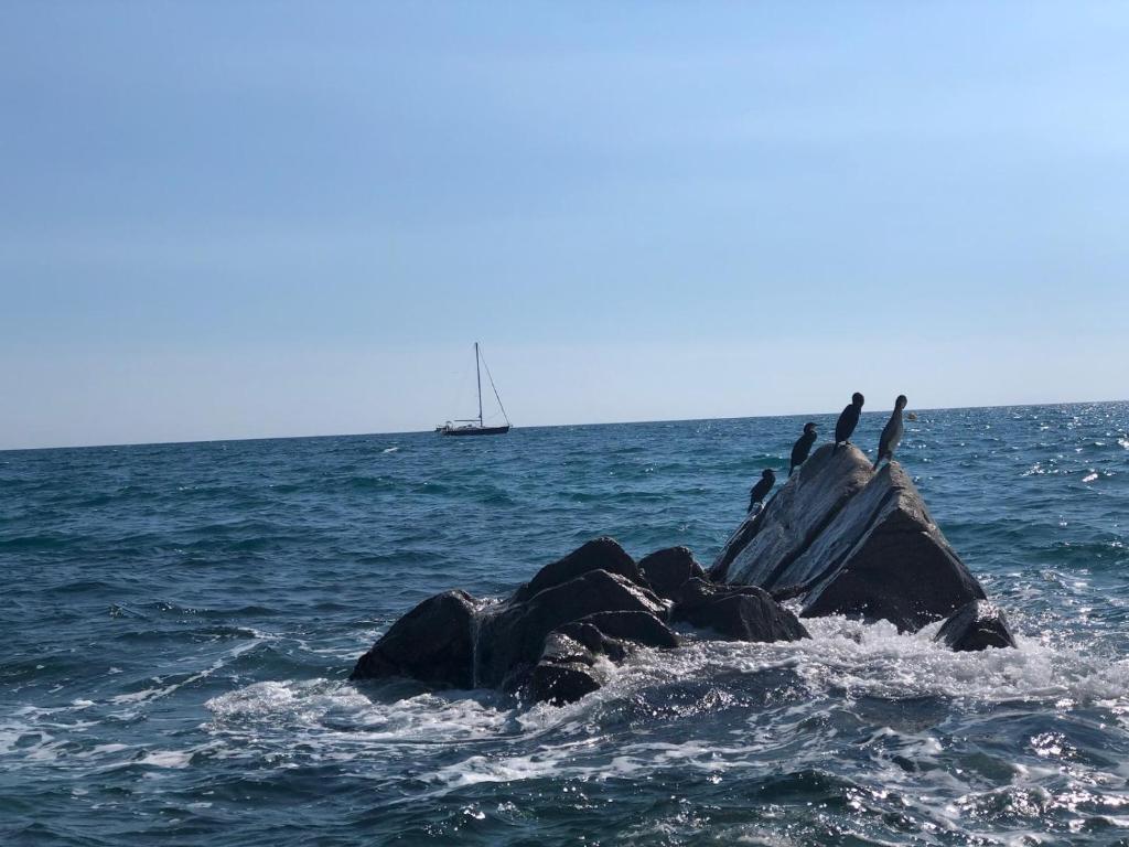 White Stones Beach In Sant Pol de Mar photo 3