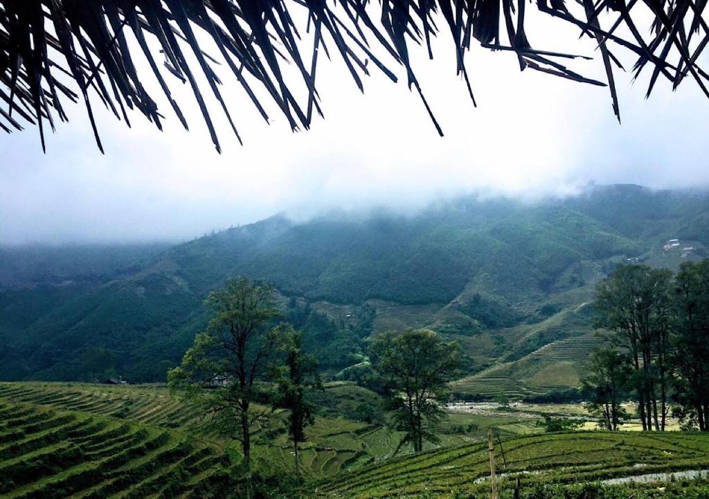 Sapa Hmong Bungalow Homestay