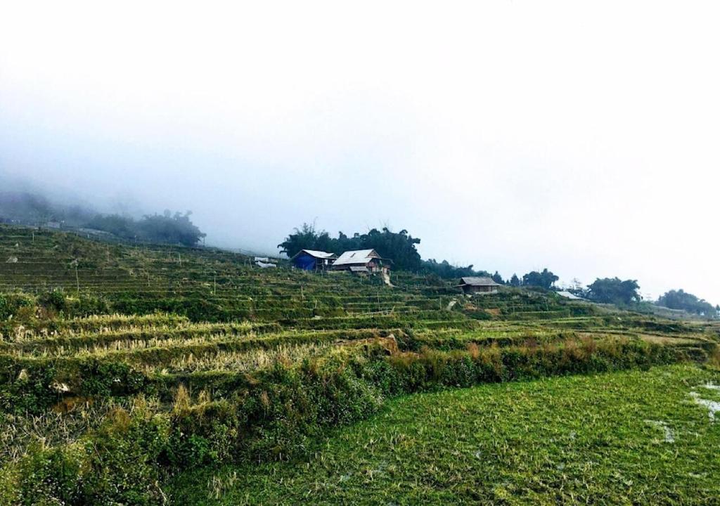 Sapa Hmong Bungalow Homestay
