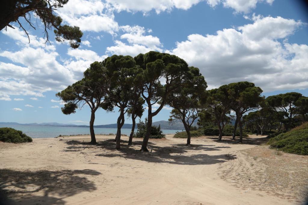 Villa in Marathonos photo 3