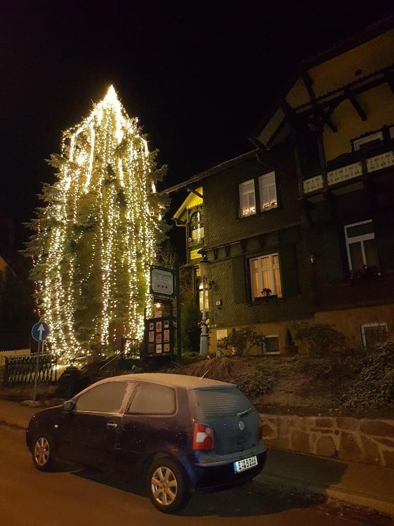 Villa Bomberg photo 2