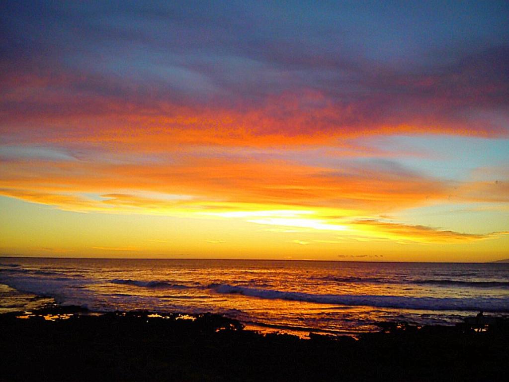By Jonni Res. Chaparral photo 4