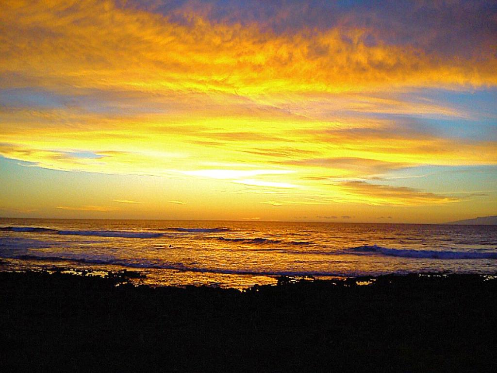 By Jonni Res. Chaparral photo 3