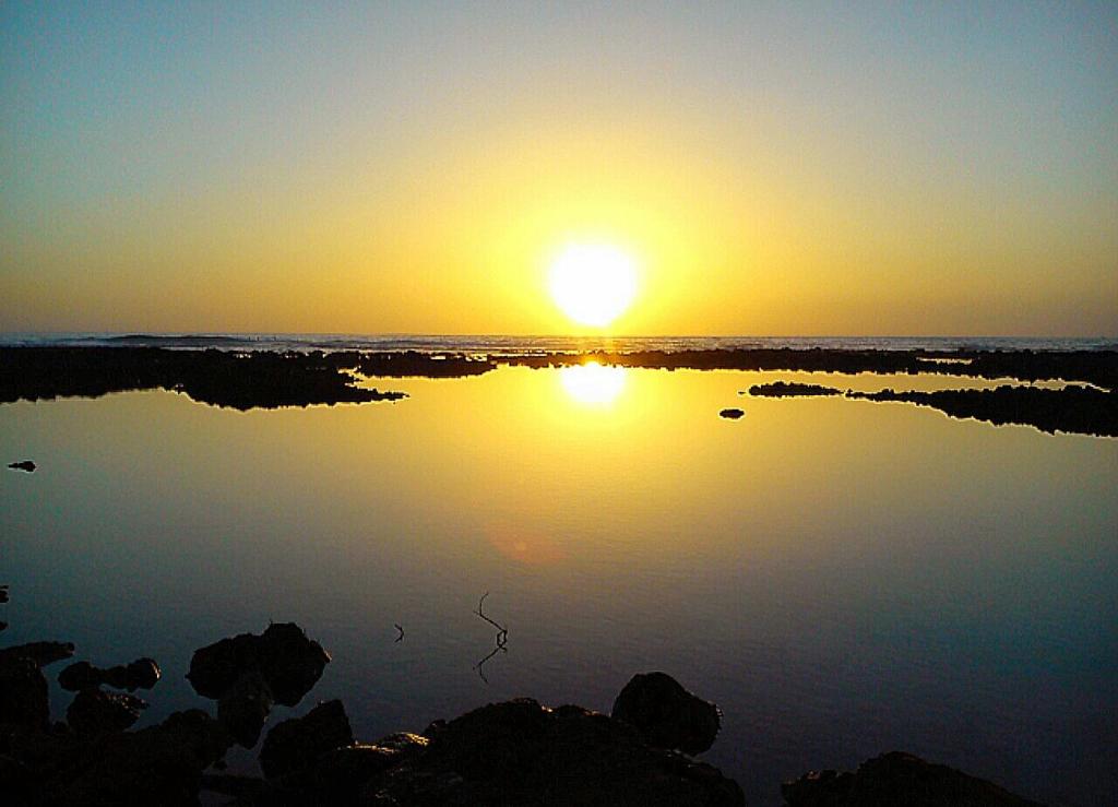 By Jonni Res. Chaparral photo 2