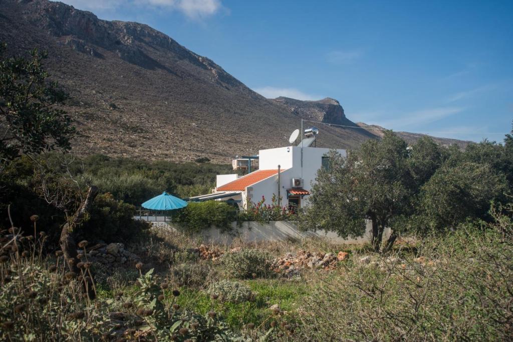Villa Afou photo 1