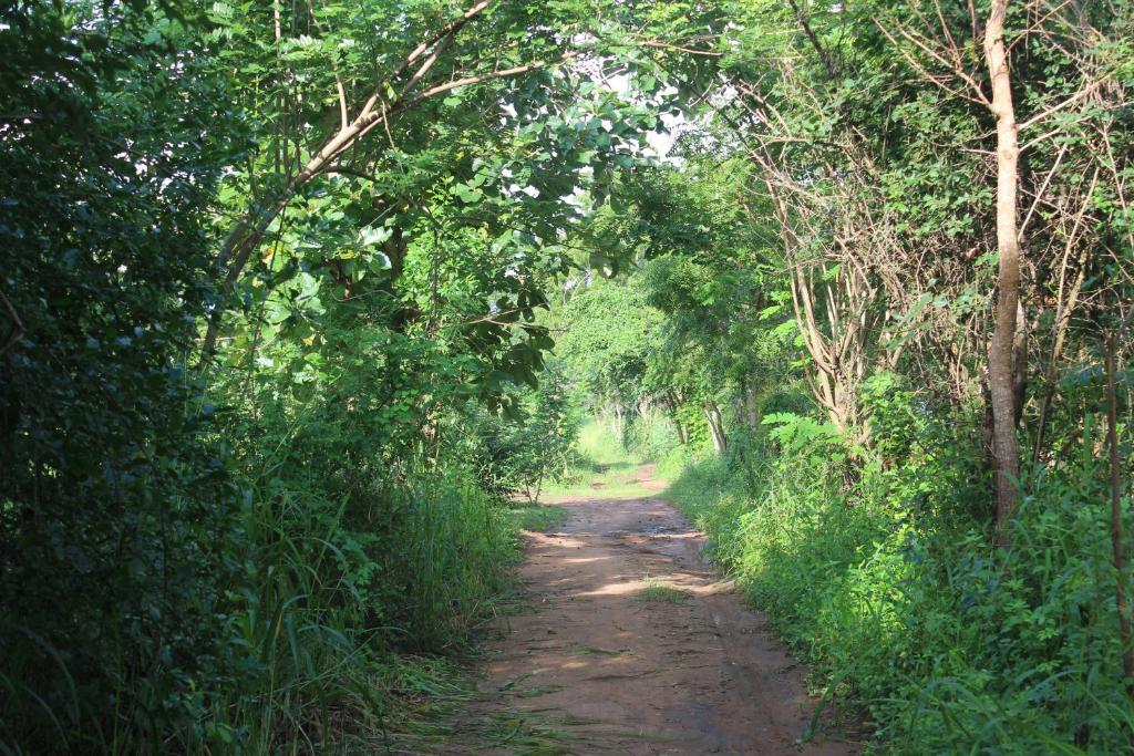 Wilpattu Holiday Home photo 2