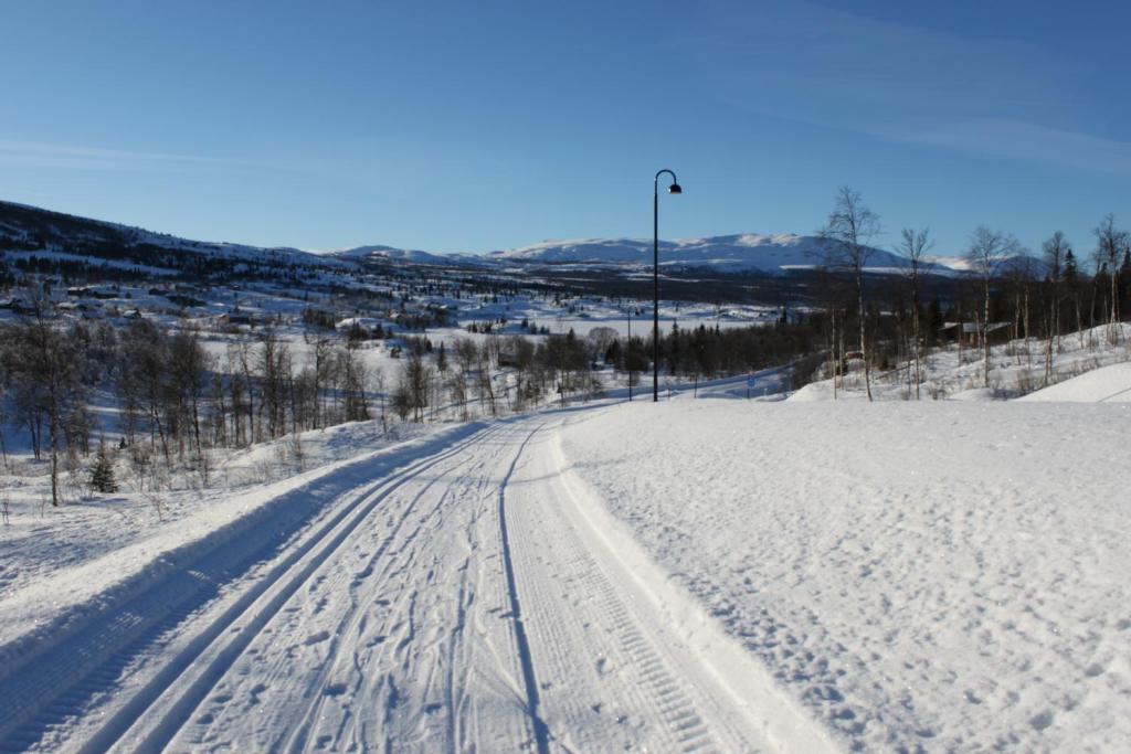 Bergfosshytta photo 4
