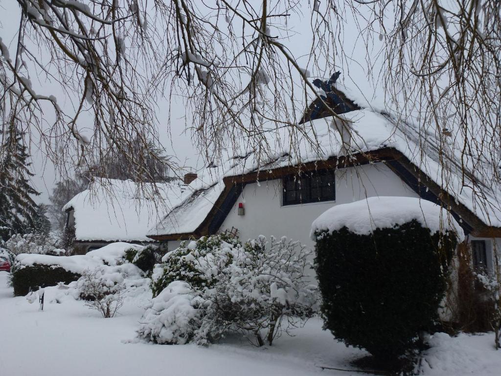 Landhaus Darss photo 1