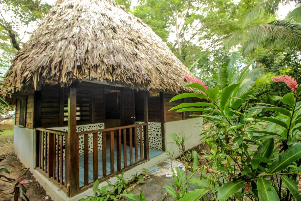 Cohune Palms River Cabanas photo 2