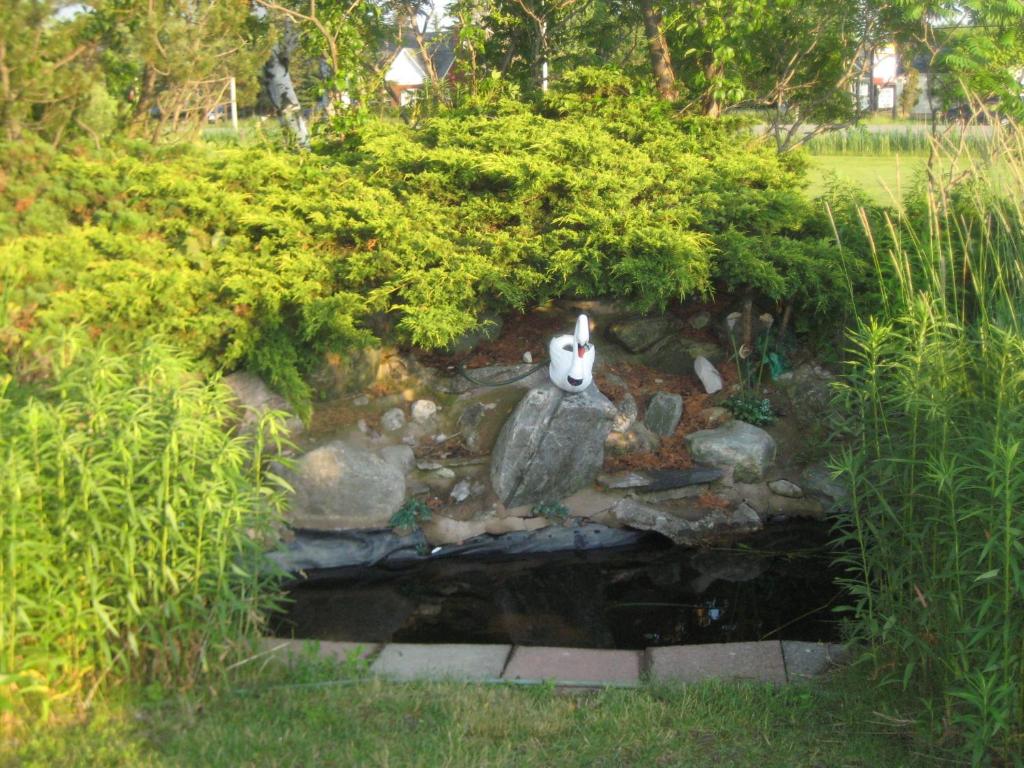 Majers Motel photo 4