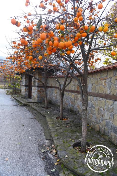 Villa Luxury Paradise Kastoria photo 1