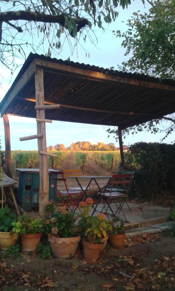 la vigneraie photo 2