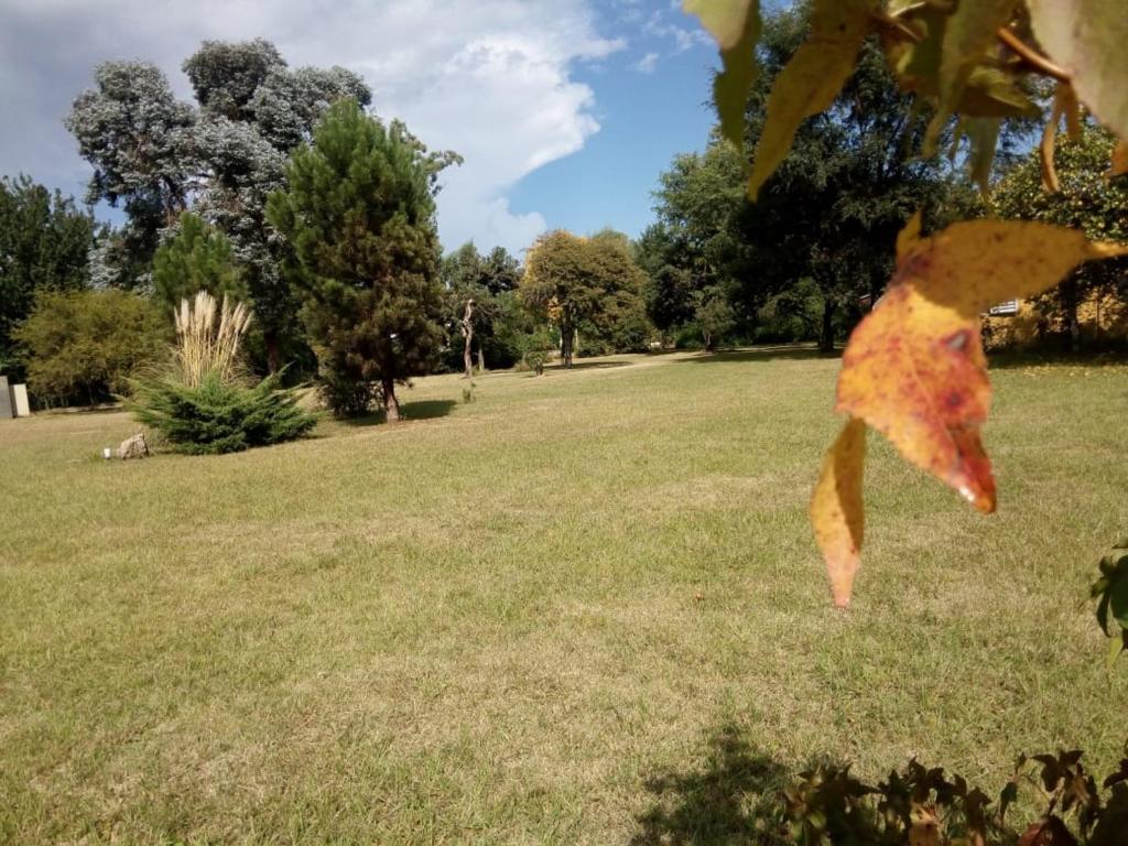cabañas Tierra Kamiare 1 photo 3
