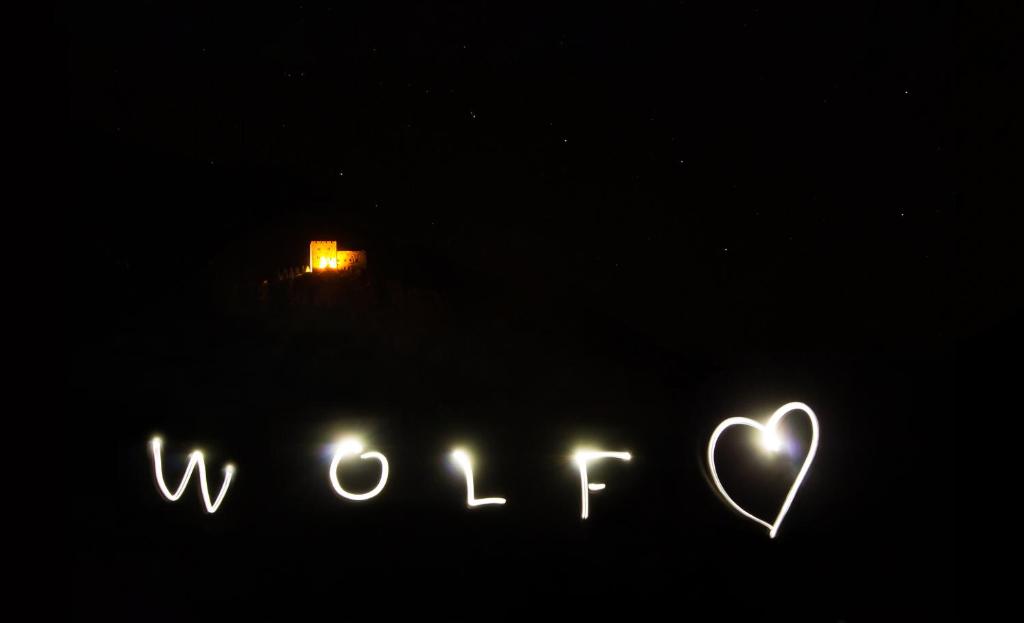 wolf.tirol photo 2