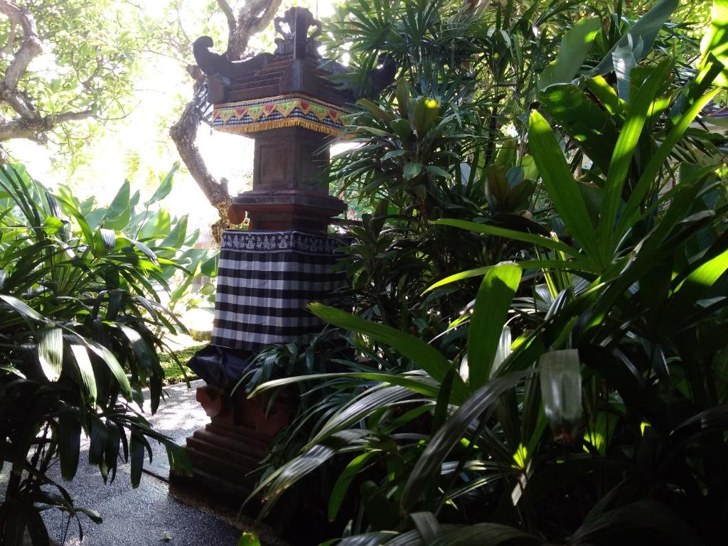 Sunshine Bungalows photo 3