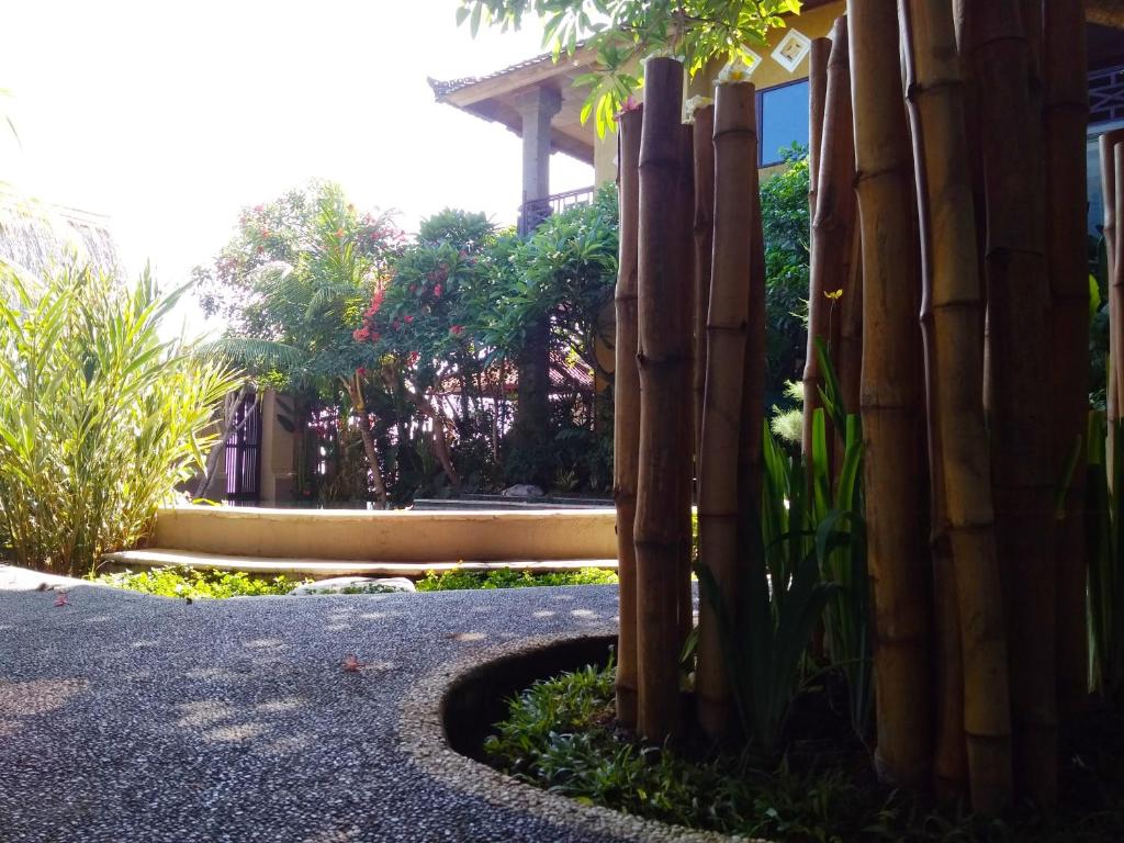 Sunshine Bungalows photo 4