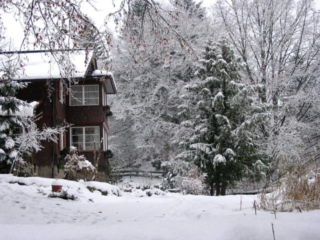 Haus Bürgle photo 1