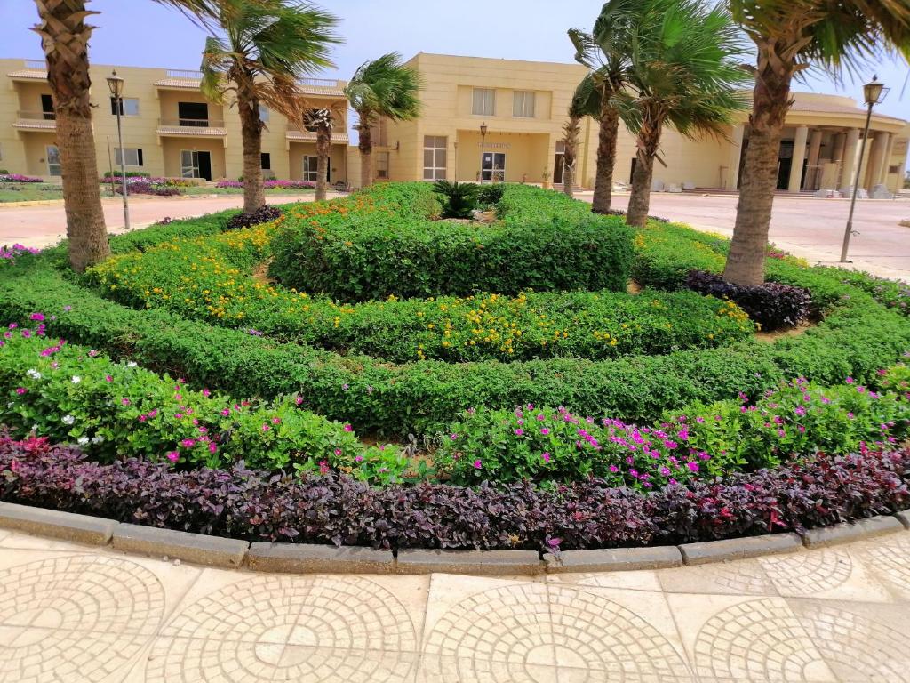 Regina Resort El Sokhna photo 3