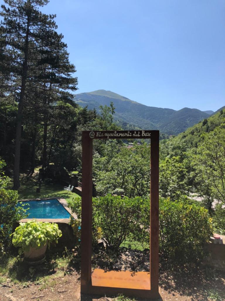 Els Apartaments del bosc photo 1