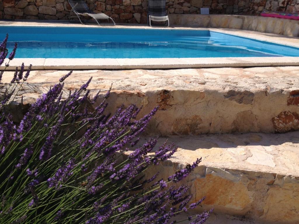 Vila Familia Hvar photo 2