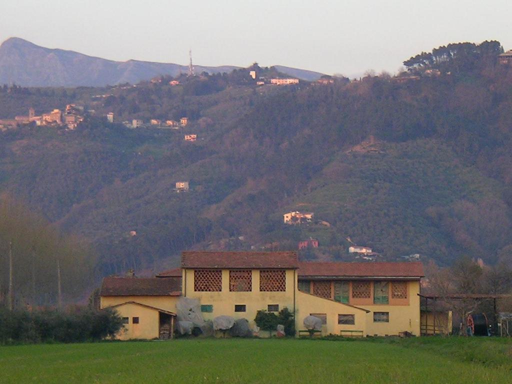 Il Chicco d'Oro photo 2