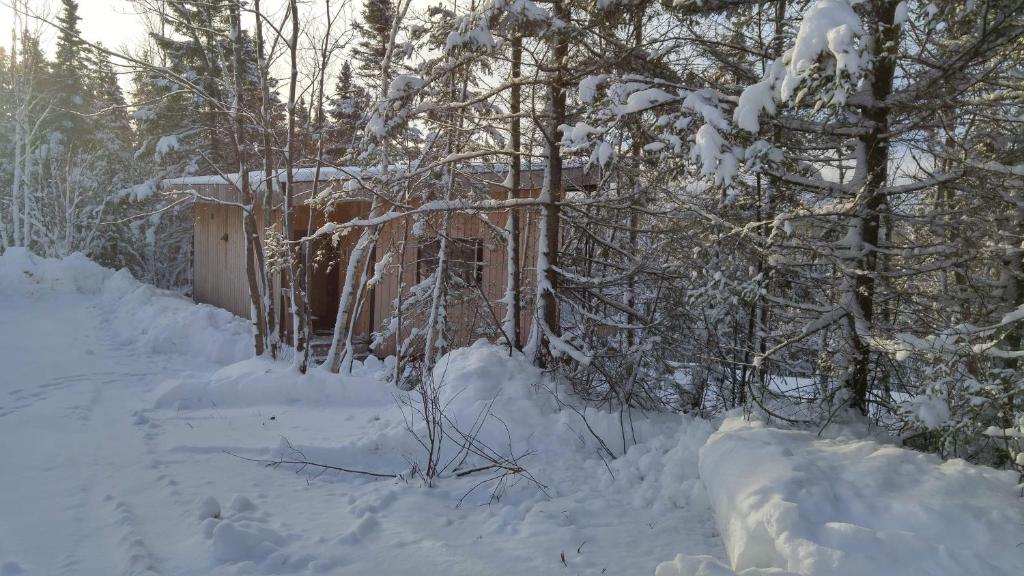 Résidence touristique Lodge des Bois photo 4