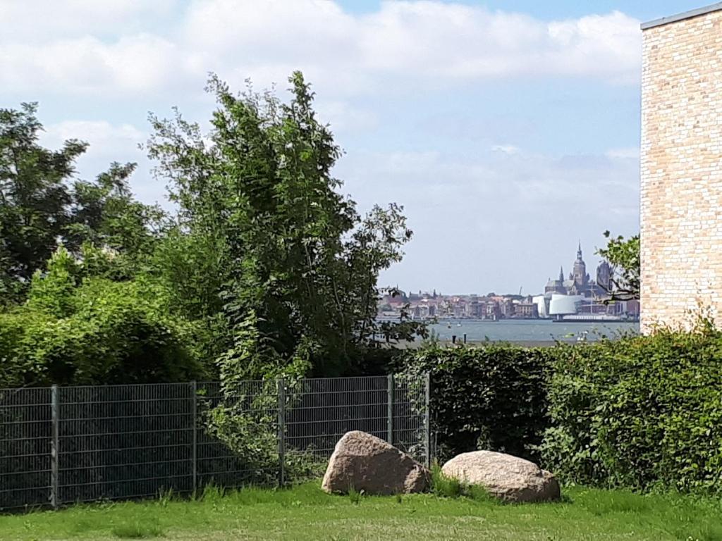 rosmarin-am-sund photo 2